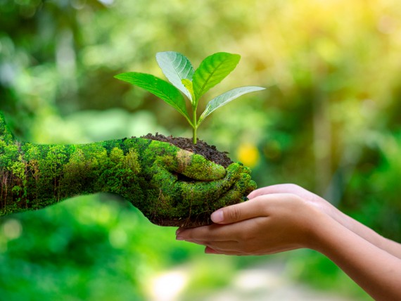 Journée Mondiale De L'environnement : Efforts Pour Protéger Notre Avenir