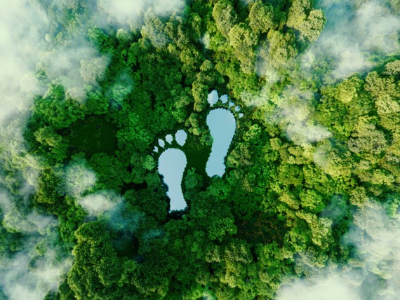 What is Carbon Footprint